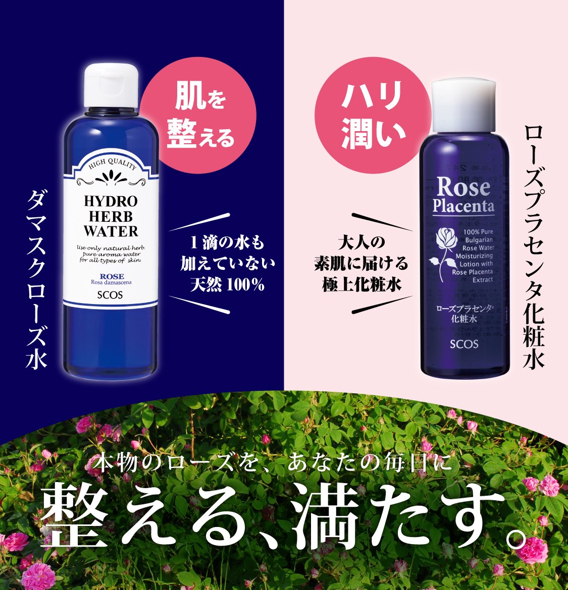 再入荷ダマスクローズ水＆ローズプラセンタ化粧水